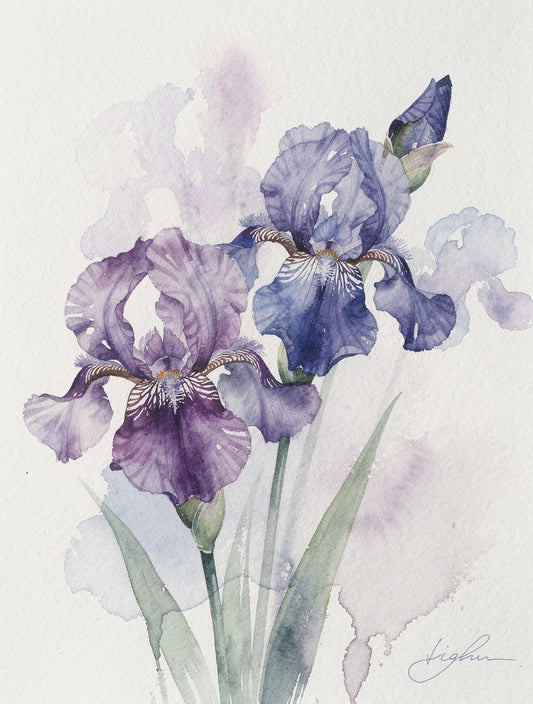 Loose Iris Cascade Watercolor | Botanical Wall Art
